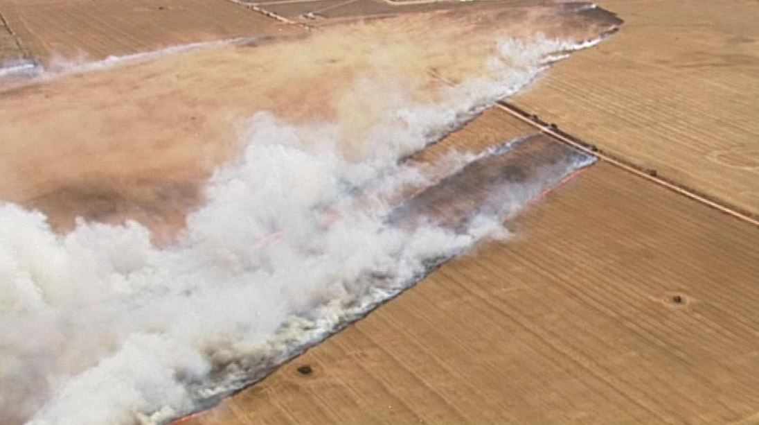 Bien lua thieu rui cac canh dong o Australia hinh anh