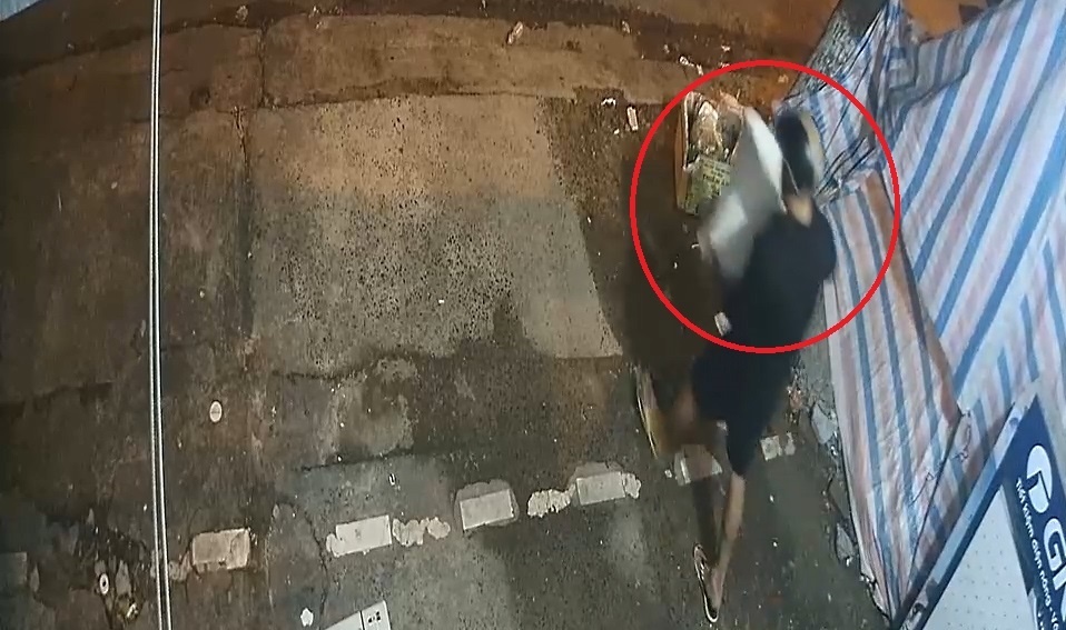 Ke gian bo lai cay canh lay trom chau o Da Nang hinh anh