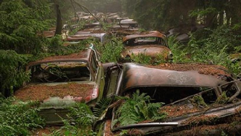 Khu rung bi an day xe hoi tai Bi hinh anh