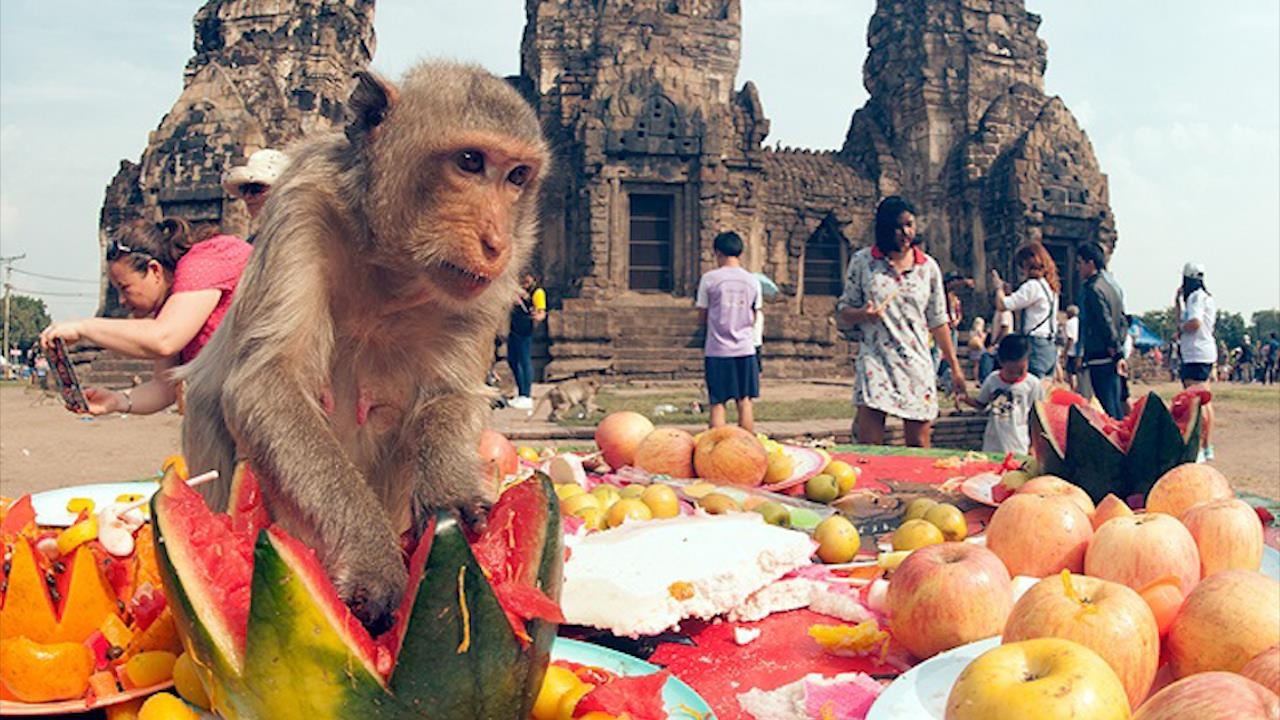 Nguoi Thai Lan bay 'tiec bufftet' trai cay cho bay khi hoang hinh anh