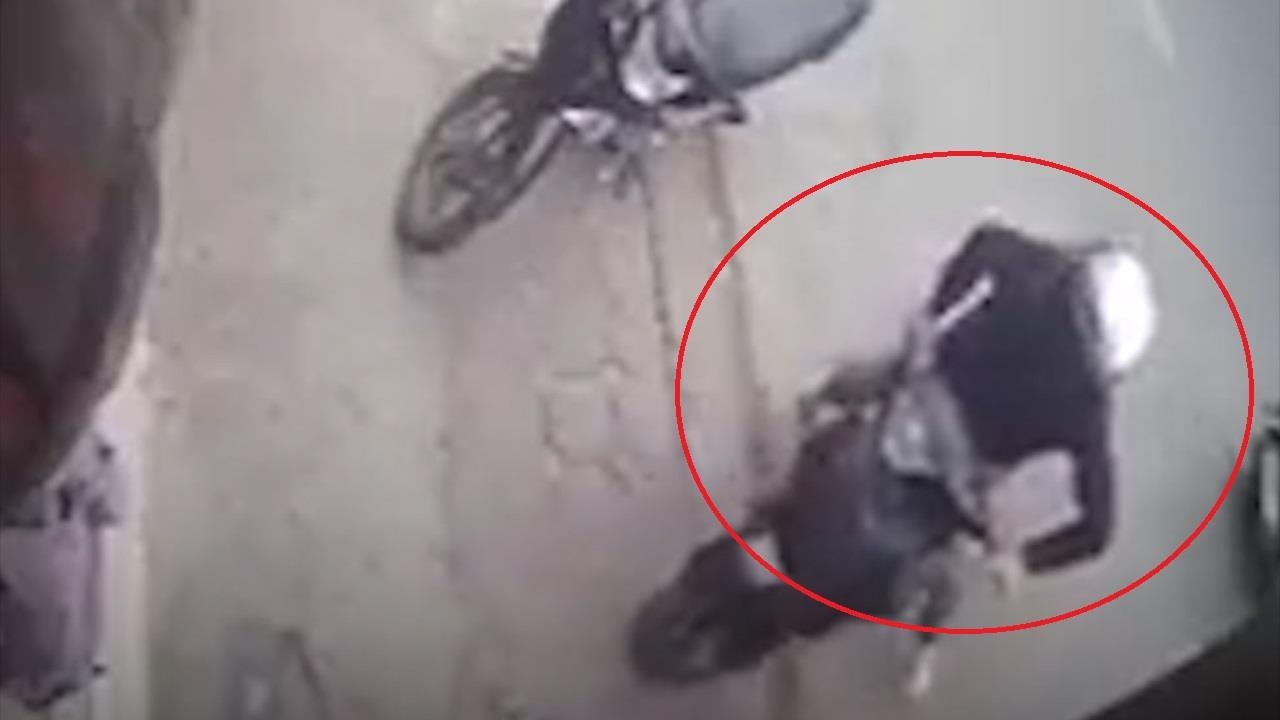 Trom SH giua ban ngay o Ha Noi hinh anh