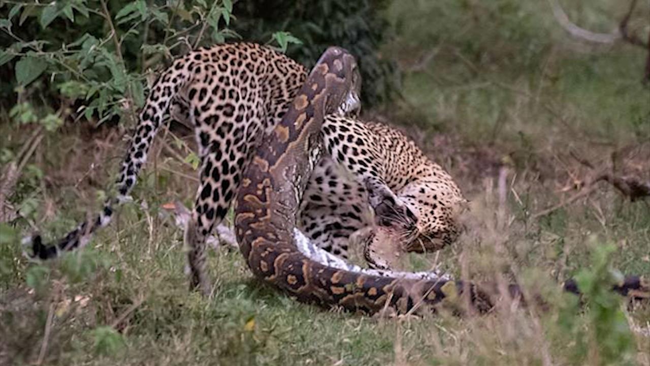 Tran quyet liet tan cong bao nhung thua tran hinh anh