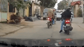 Chu cho lao qua duong suyt bi xe ben can hinh anh