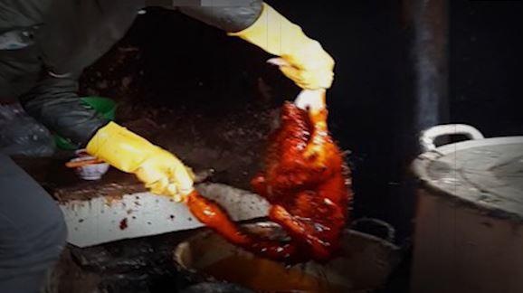 'Cong nghe' nho long vit sieu nhanh bang hoa chat la hinh anh