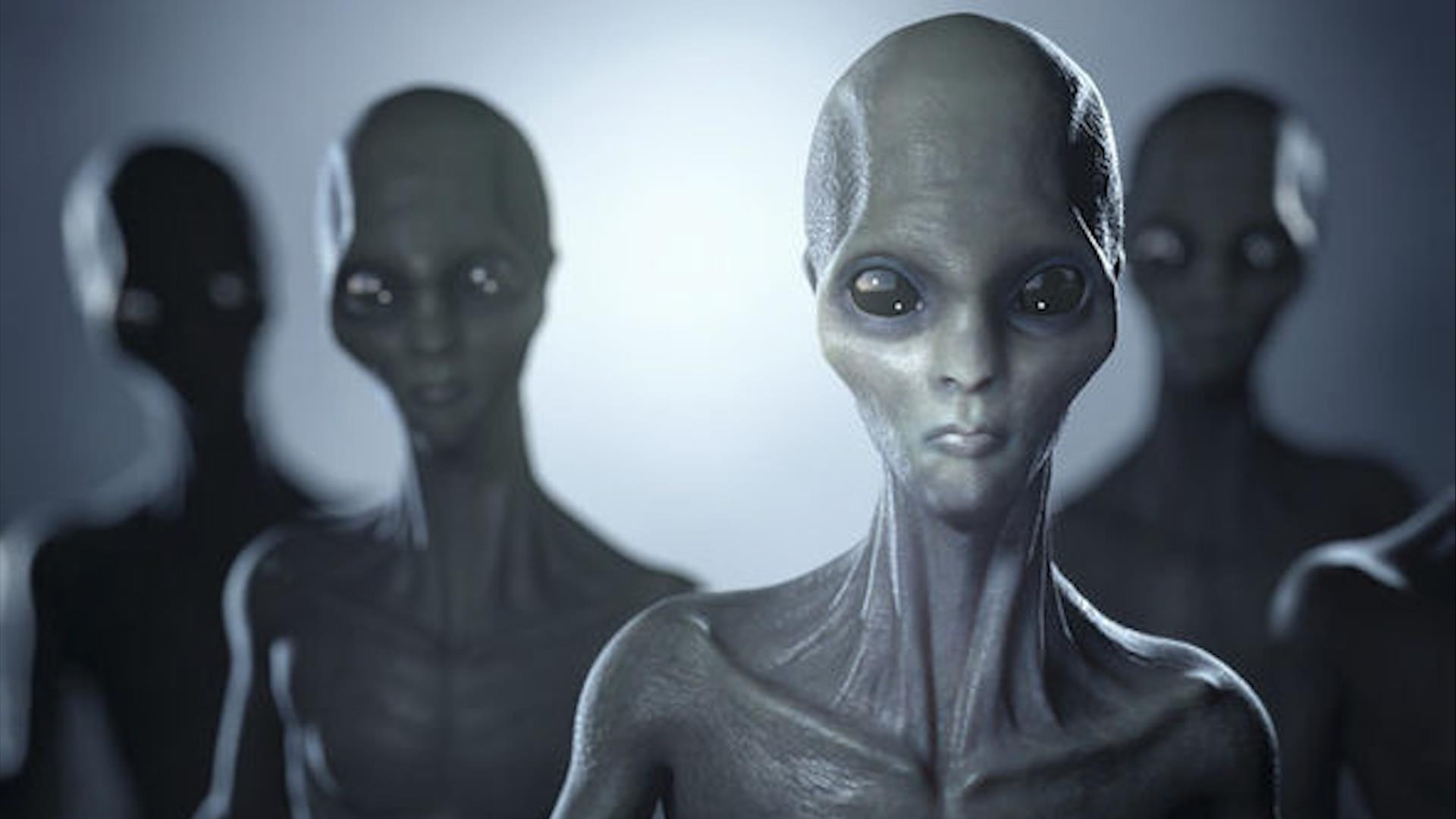 Con nguoi se giao tiep voi nguoi ngoai hanh tinh bang cach nao? hinh anh