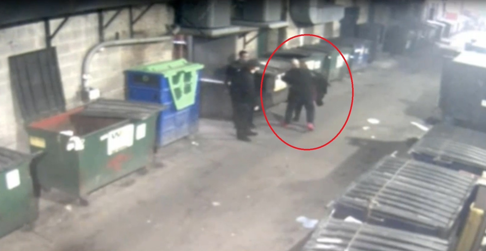 Bao ve dung nhin nu du khach bi tan cong tinh duc trong hem hinh anh