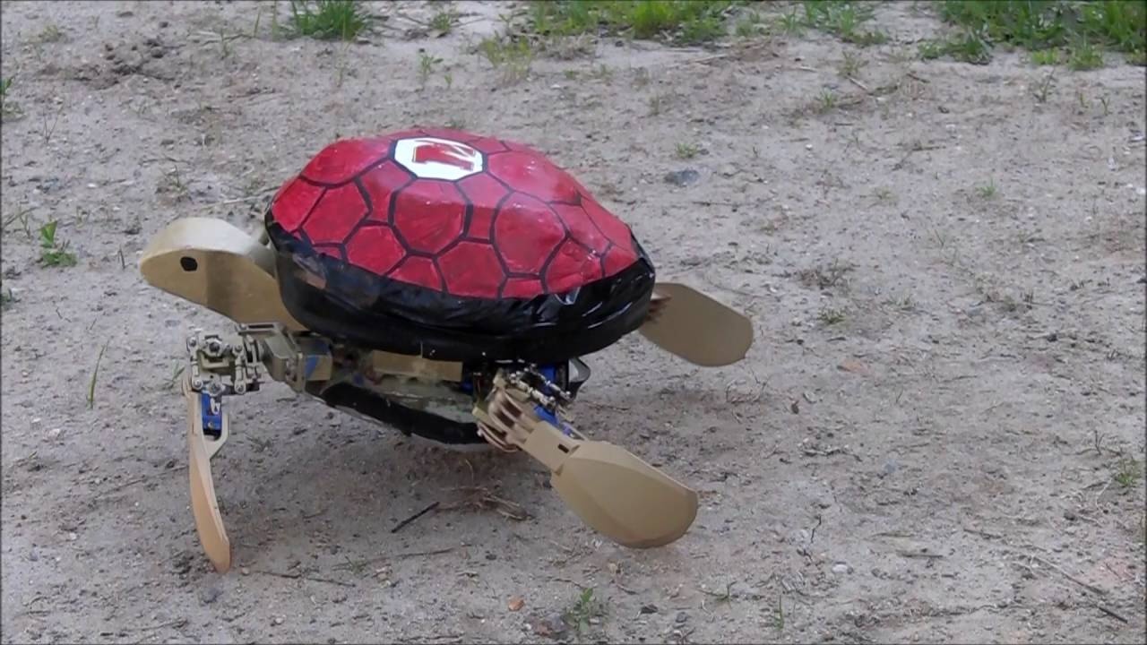 Nhung robot dong vat dang kinh ngac nhat the gioi hinh anh