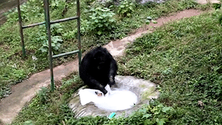 Tinh tinh danh nua gio giat ao cho nguoi cham soc minh hinh anh