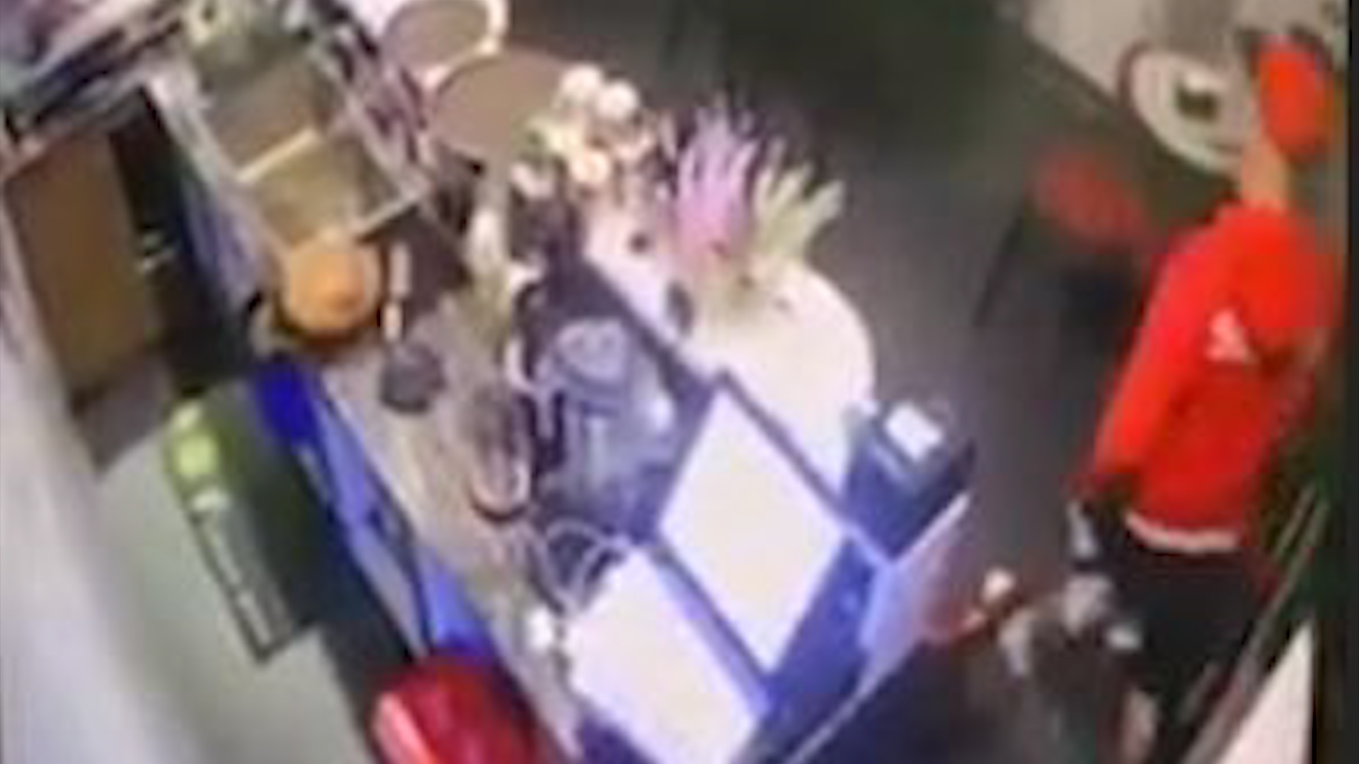 Nam thanh nien trom dien thoai o quan an hinh anh