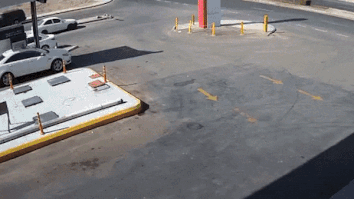 Cay xang no tung, tai xe thao chay hinh anh