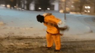 Con bao Iceland day lui nguoi di bo hinh anh