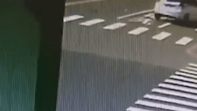 Tai xe dap nham chan ga, oto di lui lao ra duong gay tai nan hinh anh