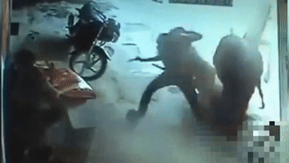 Bo lao vao tan cong hai nguoi dan ong dang dam co gai hinh anh