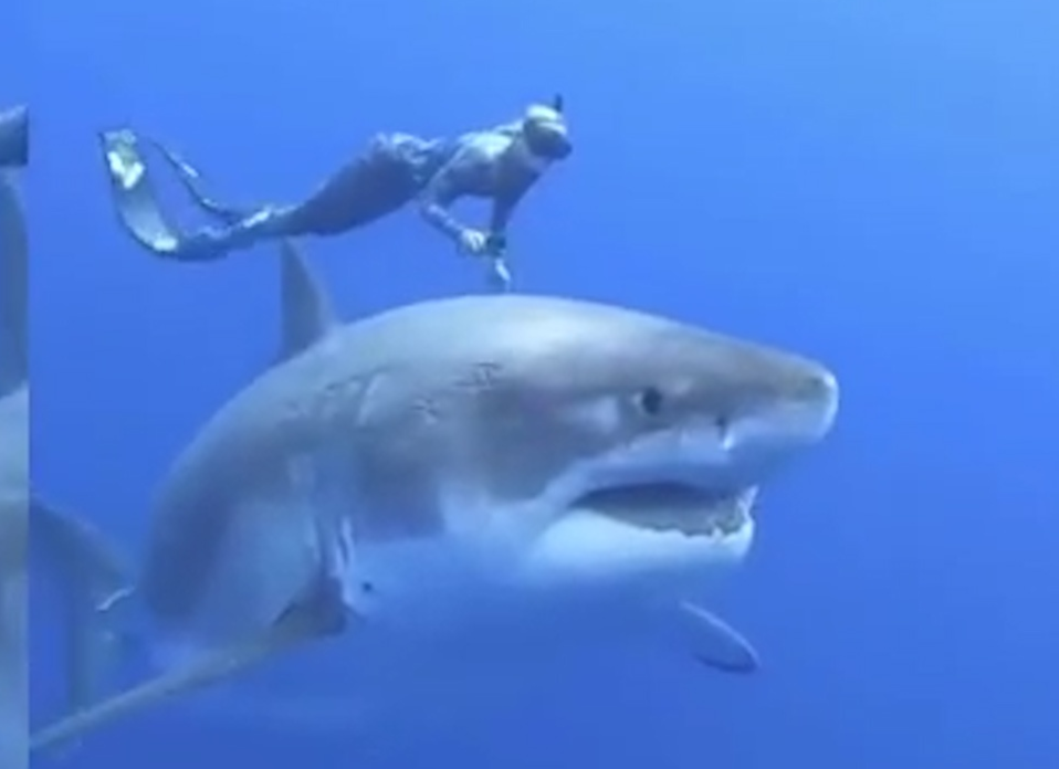 Co gai boi cung ca map trang khong lo hinh anh