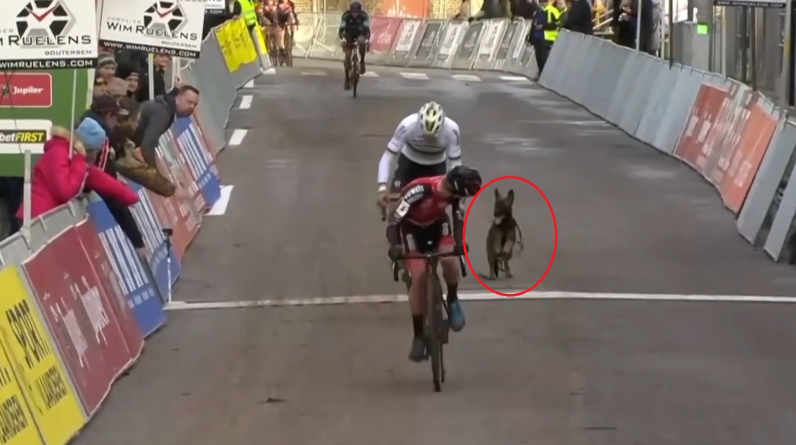 Bi cho ruot tren duong dua xe dap hinh anh