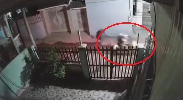 Con do nem gach vao nha dan nua dem hinh anh