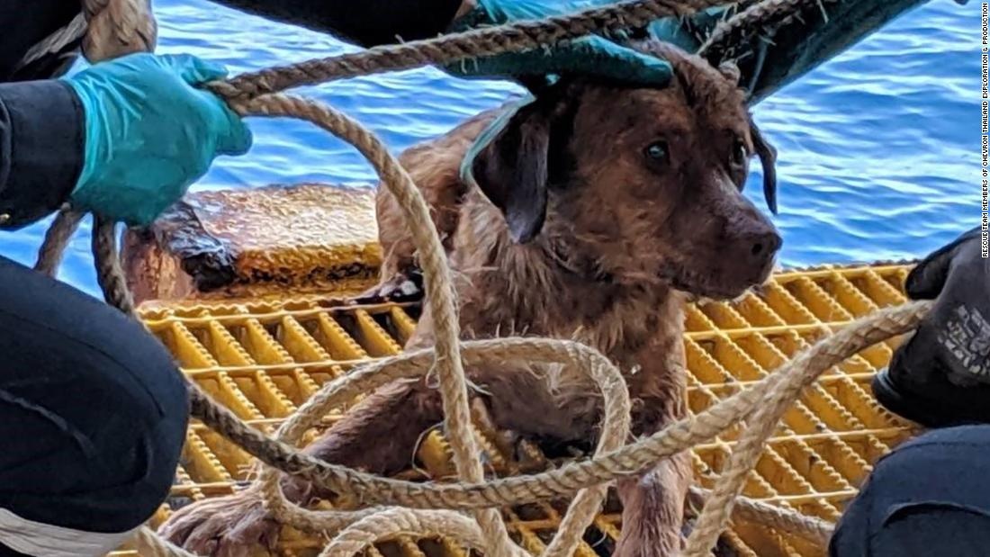 Cong nhan giai cuu chu cho bi ket duoi gian khoan dau hinh anh