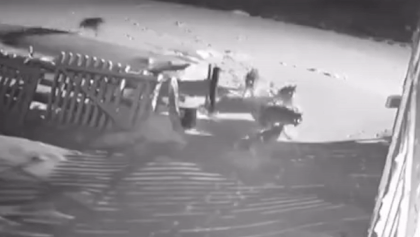 Dan soi can chet cho giu nha hinh anh