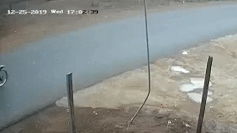 Boc dau xe may, 2 nam thanh nien nga truoc dau oto hinh anh