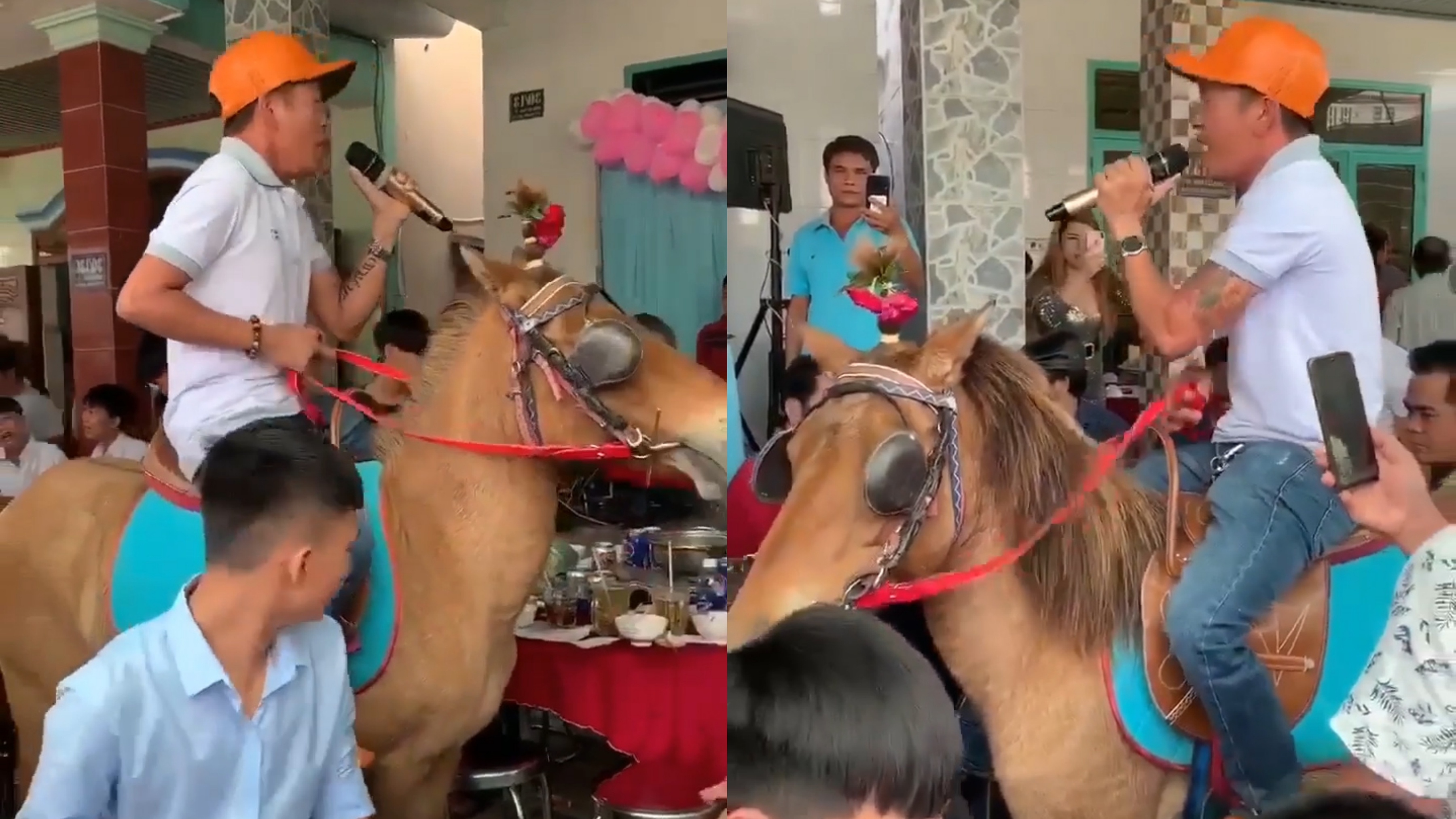 Nguoi dan ong cuoi ngua hat nhac 'Tay du ky' trong dam cuoi hinh anh