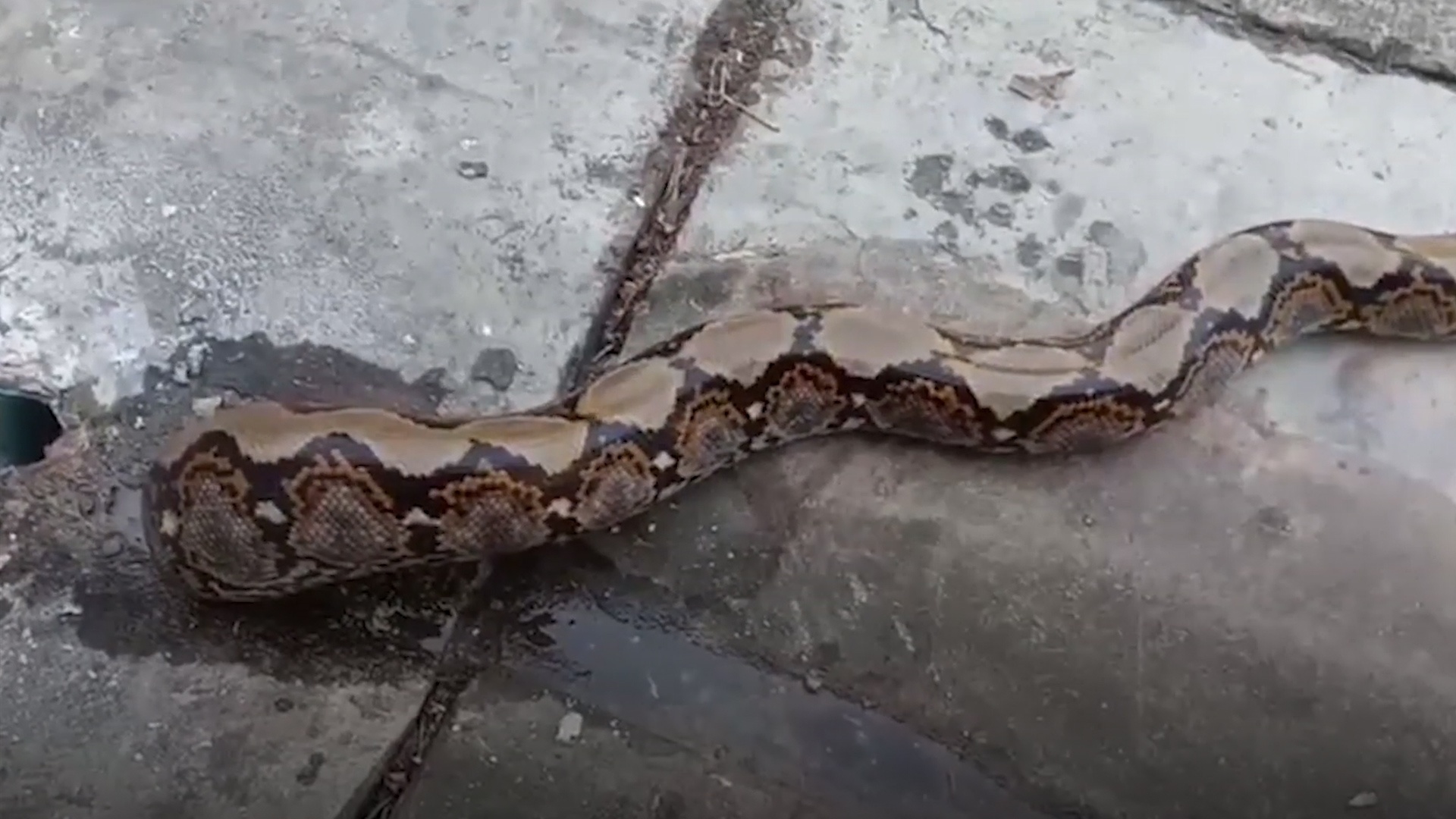 Giai cuu tran bi mac ket trong nap cong o Thai Lan hinh anh