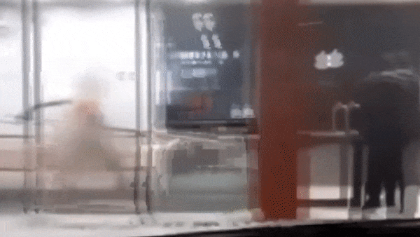 Nguoi dan ong tran truong cam cay danh nhau voi canh sat hinh anh