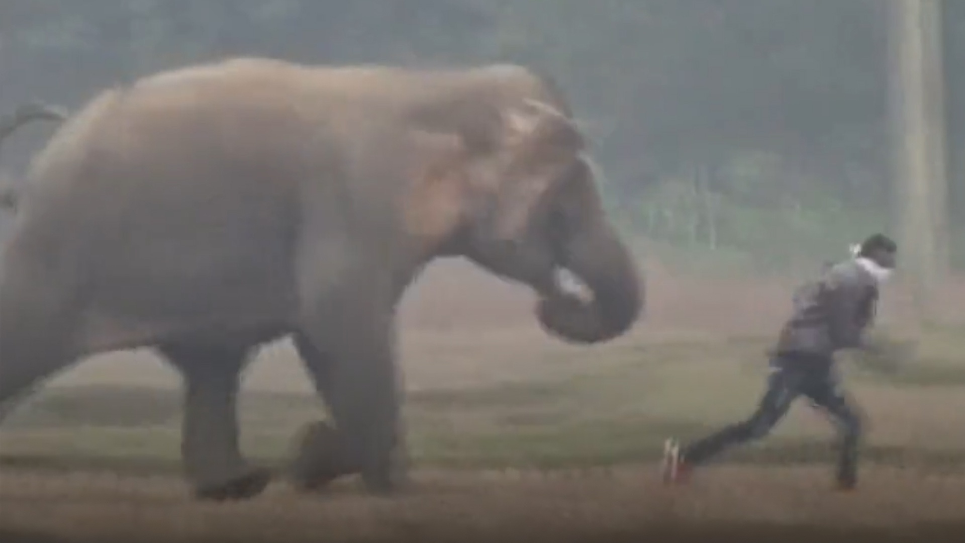 Nguoi dan ong say ruou suyt chet khi co selfie voi voi hinh anh