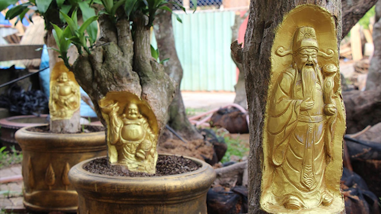 Khac tuong tren cay song thu ve tien trieu dip Tet hinh anh