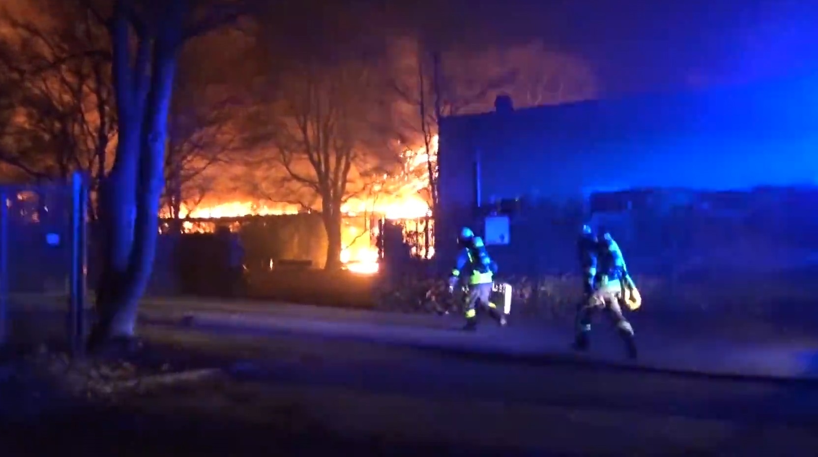 Hang chuc con khi bi chet do chay so thu o Duc hinh anh