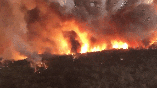 'Hoa nguc' chay rung huy diet Australia hinh anh