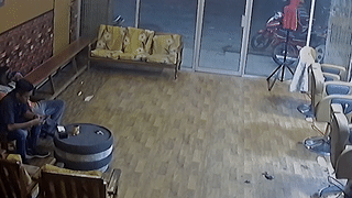 Heo rung bat ngo lao vao tiem cat toc hinh anh