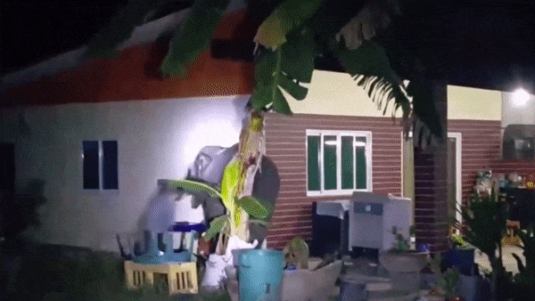 Chu voi 'dot nhap' vao nha dan choi dua voi chiec khan o Thai Lan hinh anh