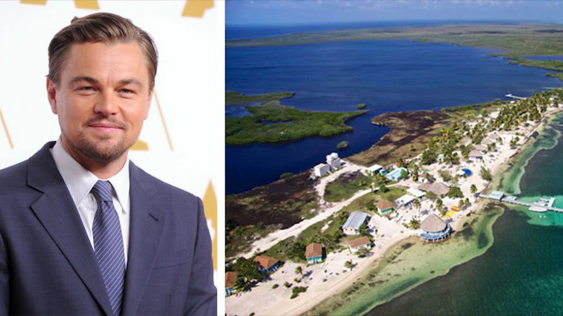 Nhung ngoi sao Hollywood chi hang trieu USD de so huu dao rieng hinh anh