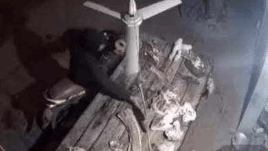 Can Tet, ke gian di trom ca thit heo hinh anh