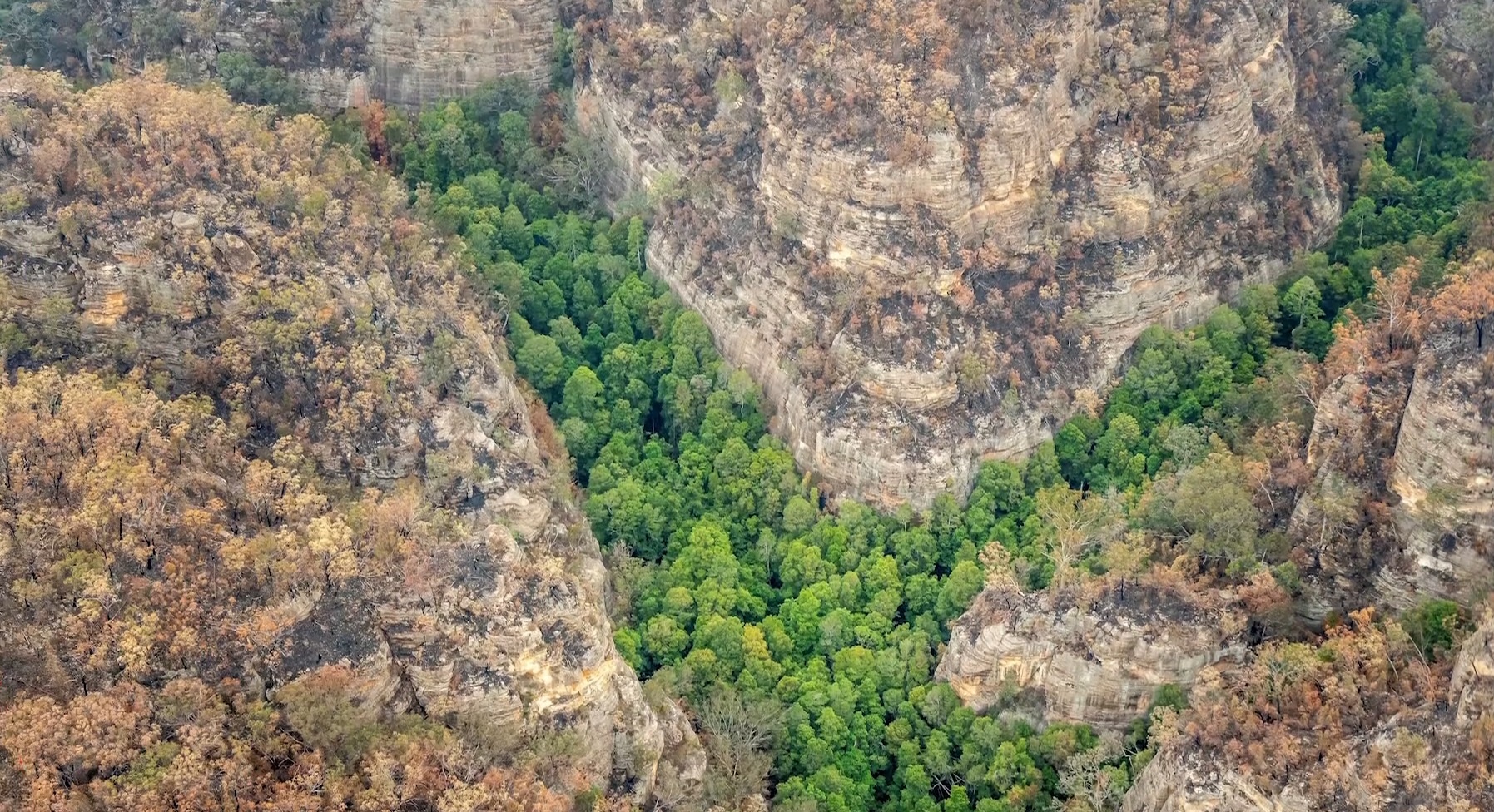 Chien dich dac biet cuu 'thong khung long' giua bien lua o Australia hinh anh
