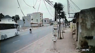 Tai xe xe khach phanh gap cuu cu ong sang duong hinh anh