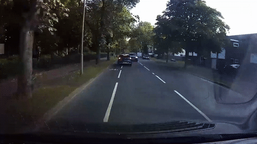 Tranh dong vat tren duong, oto gay tai nan lien hoan hinh anh