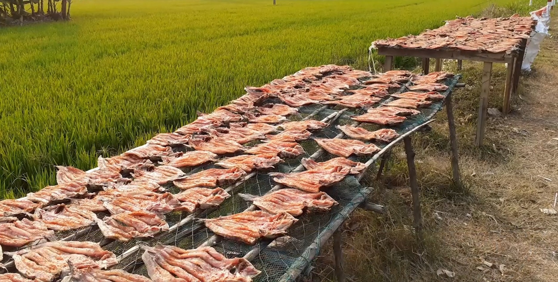 Xom nghe kho ca loc o Can Tho vao vu Tet hinh anh