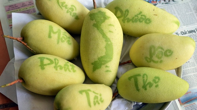 Xoai in chu thu phap hinh anh