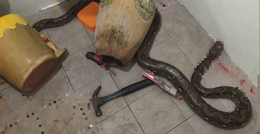 Tran dai hon 3 m tron trong toilet tan cong nguoi phu nu hinh anh