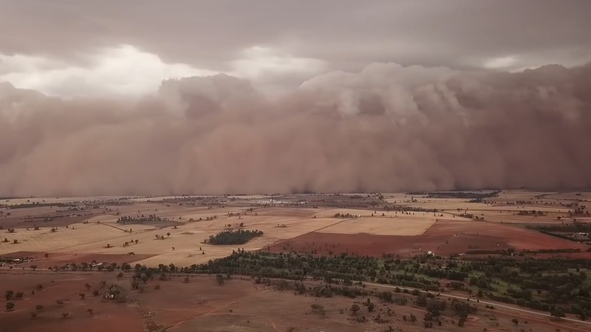 Con bao bui bien 'ngay thanh dem' o Australia hinh anh