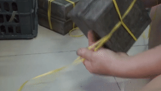 Banh chung, banh tet dua nhau tang gia vi lon dich, chet hang loat hinh anh