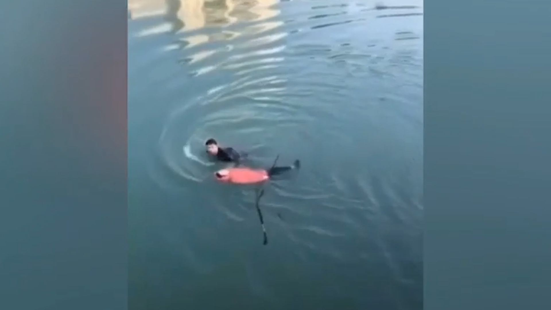 Canh sat nhay xuong song cuu ba lao dang chet duoi o Trung Quoc hinh anh