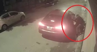 Lai oto di trom hoa Tet bat thanh vi chau qua nang hinh anh