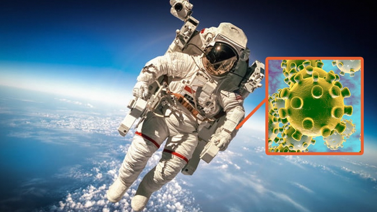 Virus gay benh sinh duc co the bung phat tren vu tru hinh anh