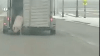 Lon roi ra tu xe tai roi lan giua duong hinh anh