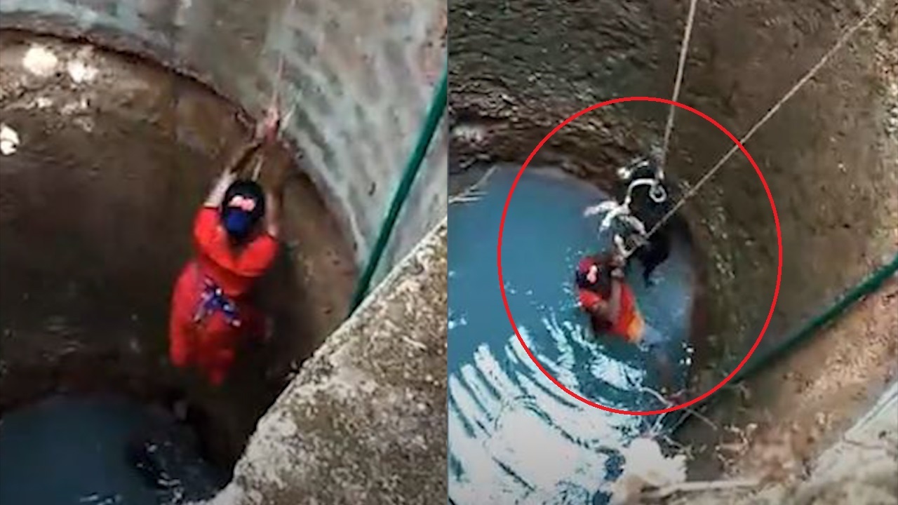 Nguoi phu nu mao hiem leo xuong gieng sau de cuu cho hoang hinh anh