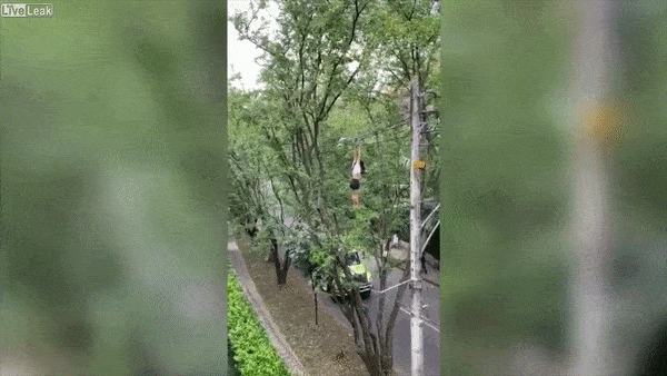 Co gai du day dien tuot tay roi xuong dat khi bi canh sat truy duoi hinh anh