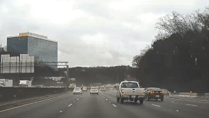 Cay do de trung oto tren duong cao toc hinh anh