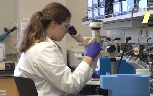 Ca the gioi chay dua tim phuong thuoc ngan chan virus corona hinh anh